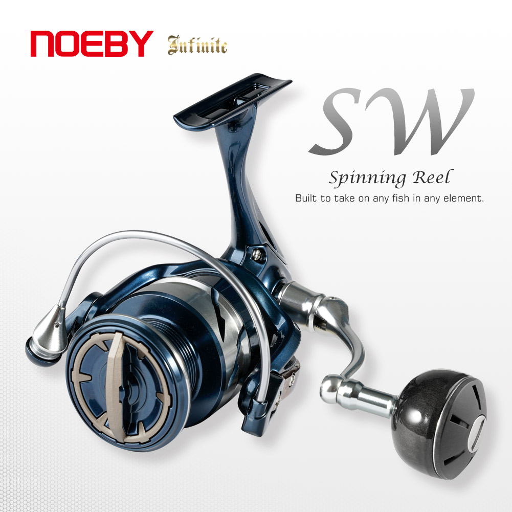 Mulinello da Pesca Spinning No - Daiwa Reel Bg recensione e prezzo